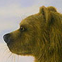psgreendog