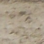 Two Cow