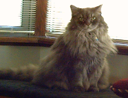 stubbs303