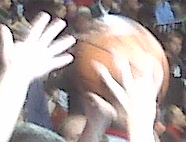 busta3